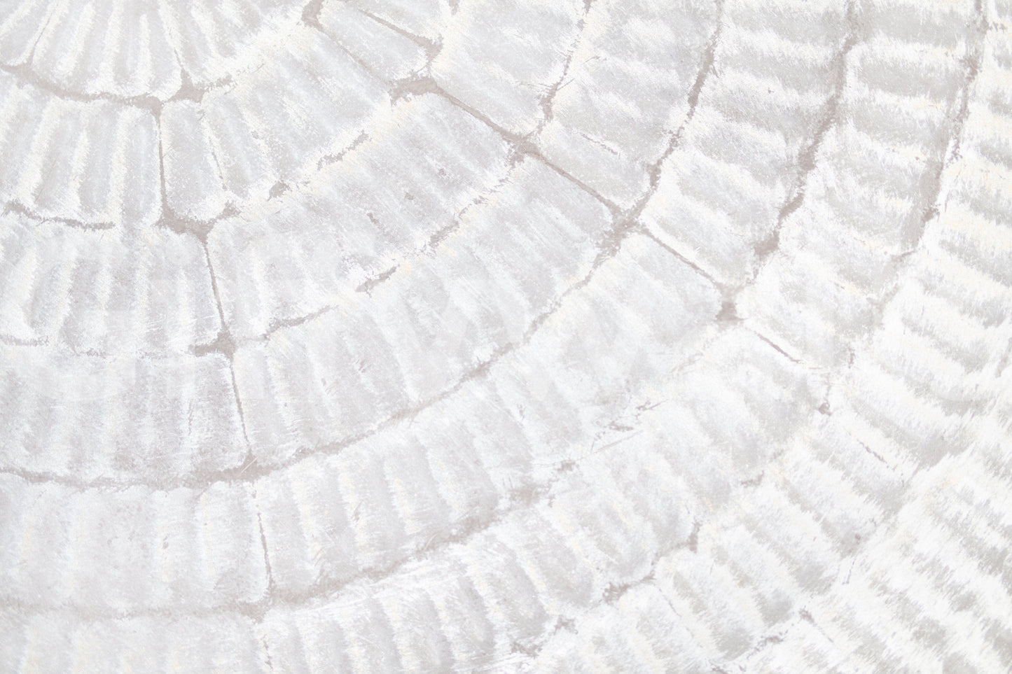 Whispered Texture Wall Mural -2306170