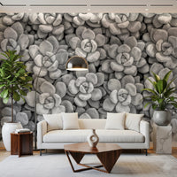 Grayscale Succulent Array Wall Mural