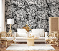 Grayscale Succulent Array Wall Mural