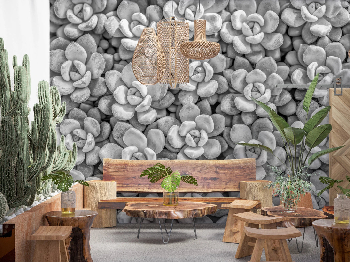Grayscale Succulent Array Wall Mural