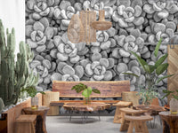 Grayscale Succulent Array Wall Mural