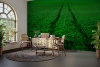 A classic sports theme wallpaper for walls.

