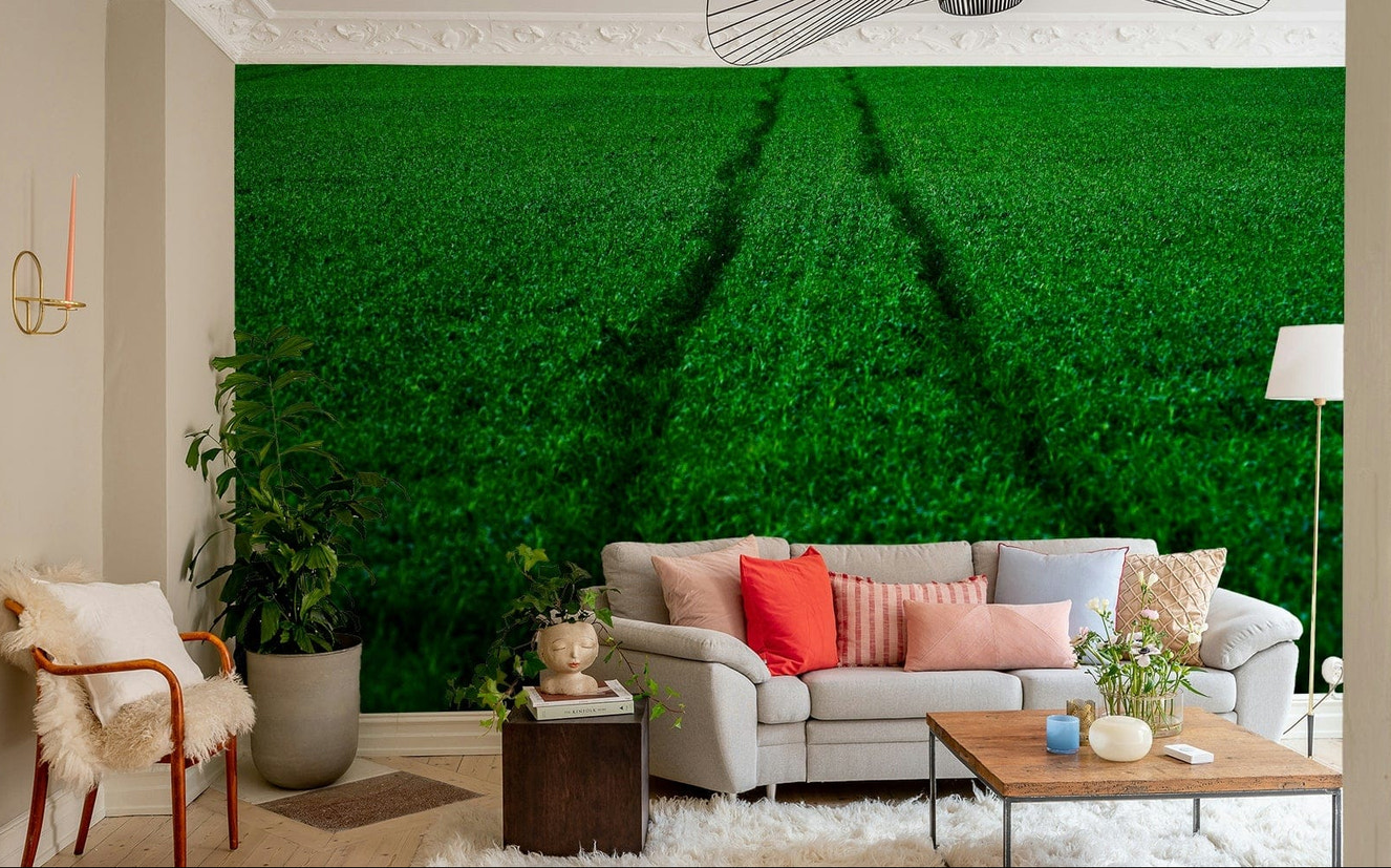 A contemplative athletic field wallpaper mural for a feature wall.

