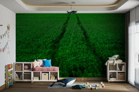 A serene running track wall mural for your decor.

