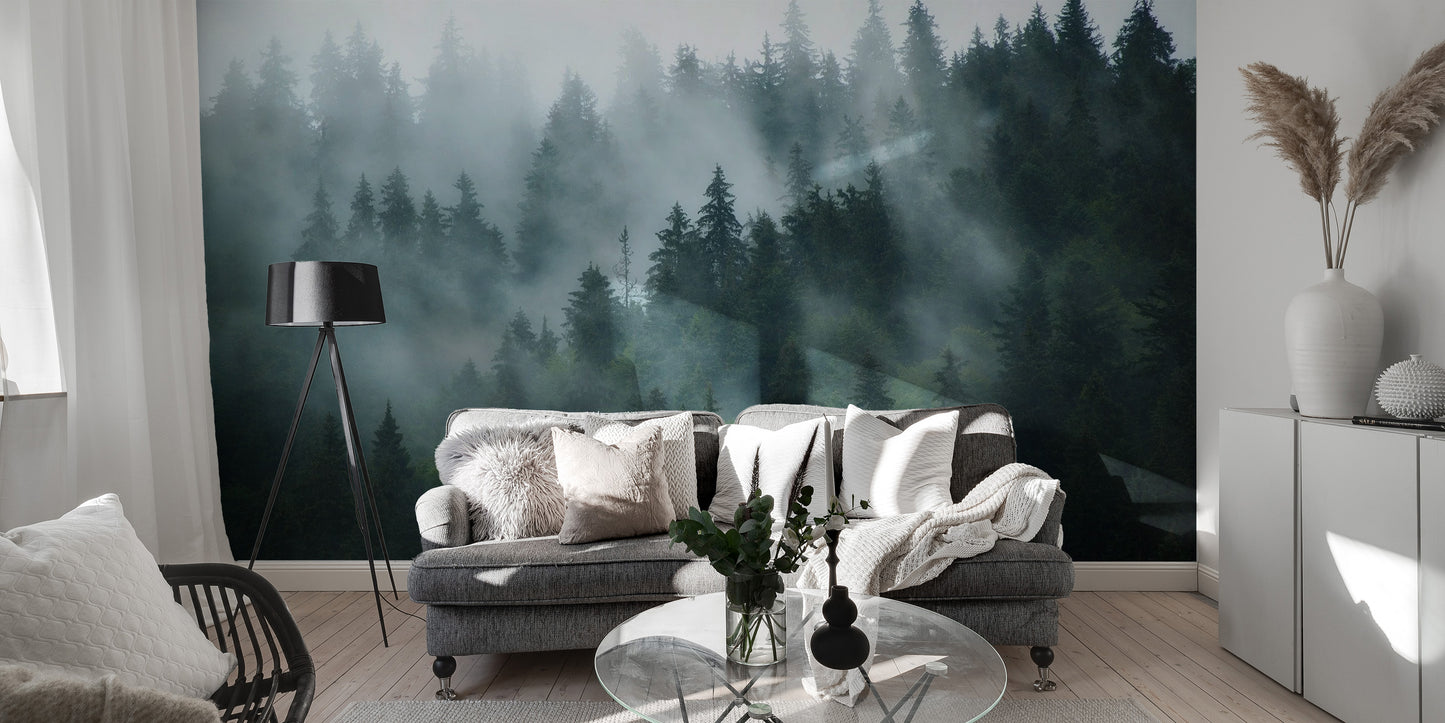 Green Tree Foggy Forest Jungle Wallpaper Murals - Giffywalls