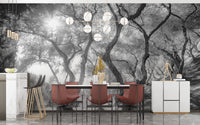 Black & White Natural Olive Groves Forest wallpaper mural styled along a hallway feature wall near a console