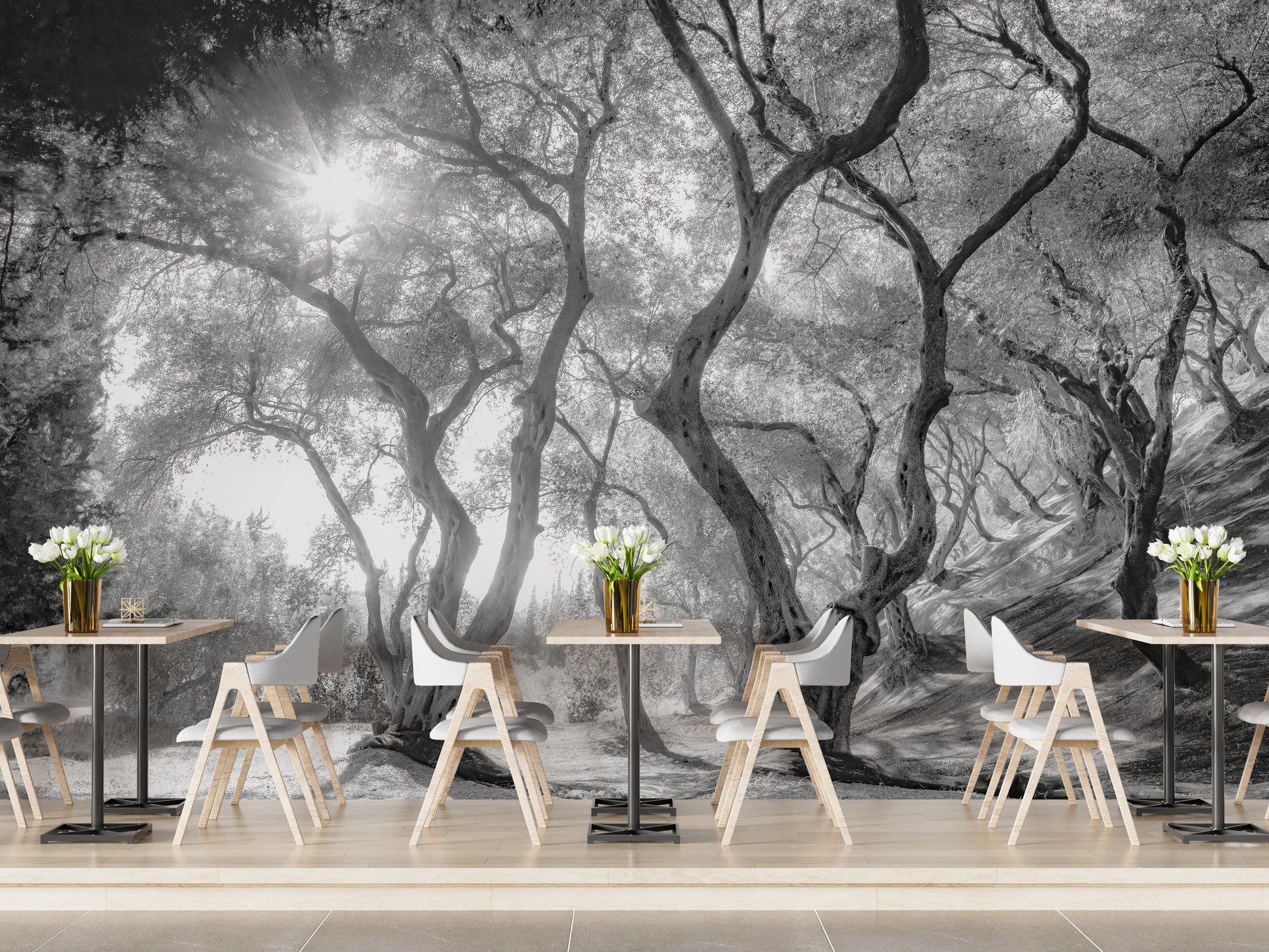 Black & White Natural Olive Groves Forest wallpaper mural as a feature wall in a home office workspace in black and white