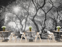 Black & White Natural Olive Groves Forest wallpaper mural as a feature wall in a home office workspace in black and white