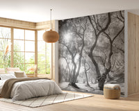 Black & White Natural Olive Groves Forest wallpaper mural as a bedroom feature wall behind the headboard in black and white