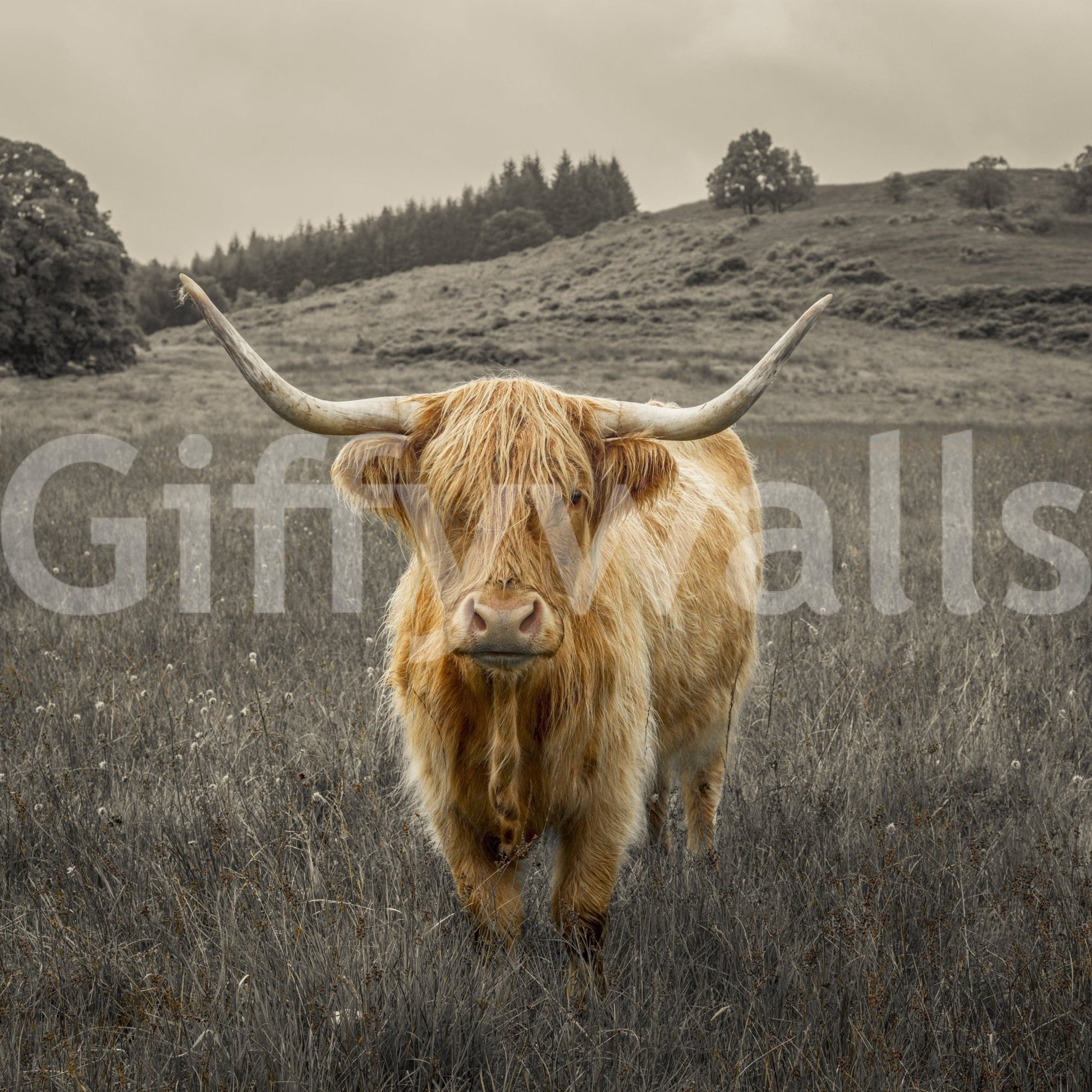 Guardians of the Highlands Wall Mural