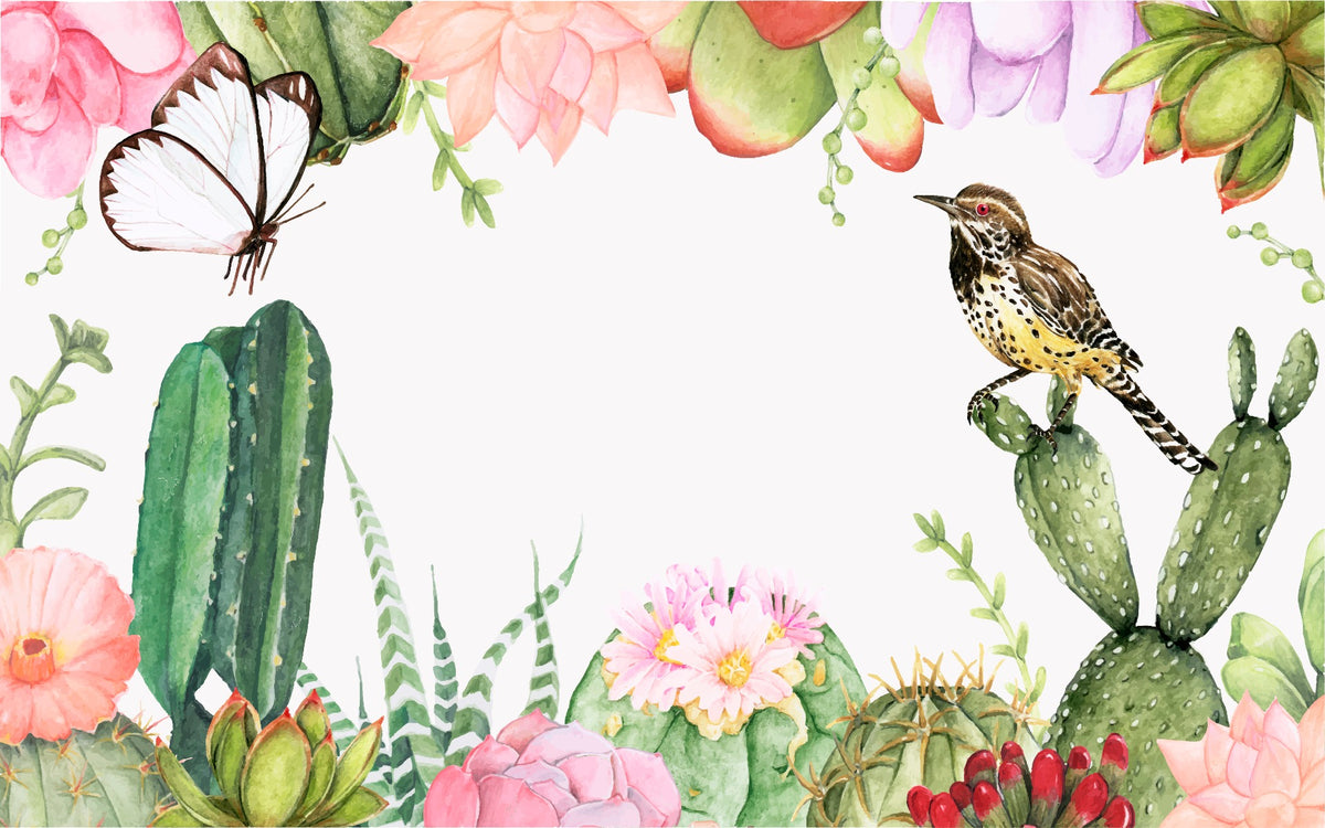 Succulents Plants wallpaper murals