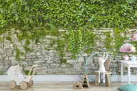 Hanging Green Grass Wall Wallpaper Murals - Giffywalls