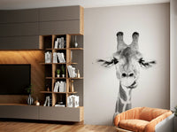 Ideal for a child's room, nursery, living room, or study.

