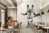 Inviting and comforting aesthetic.

