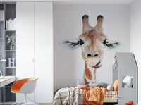 Ideal for a child's room, nursery, living room, or study.

