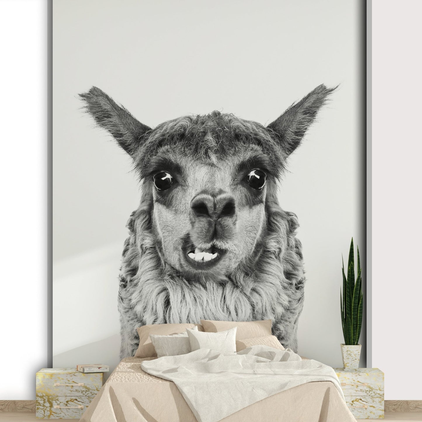 Inviting and comforting aesthetic.

