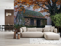 Hearth haven wall mural featuring a forest cabin, moss detail, and foggy light