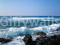 Non-toxic, environmentally conscious design

