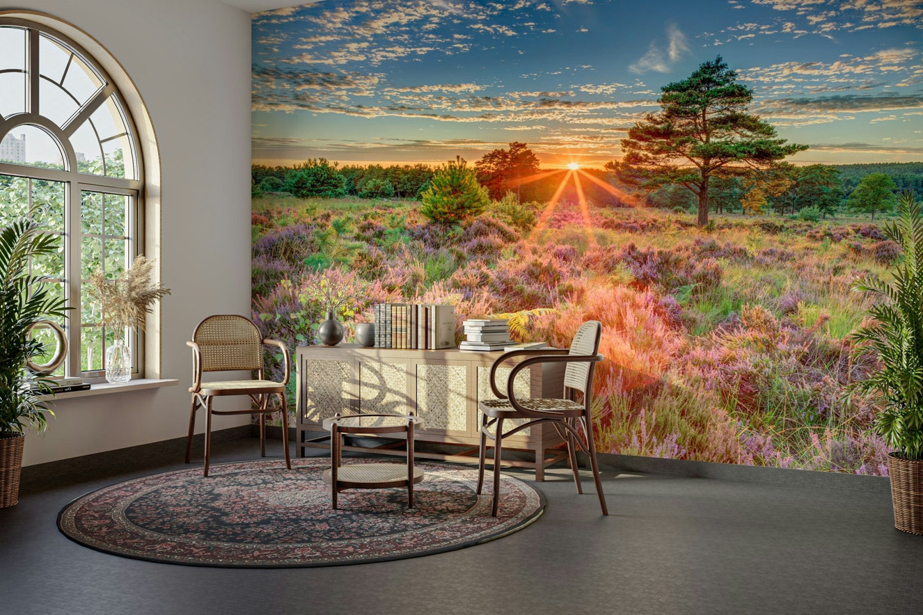 Heathland Sunset Wall Mural with golden sunset and tranquil landscape.

