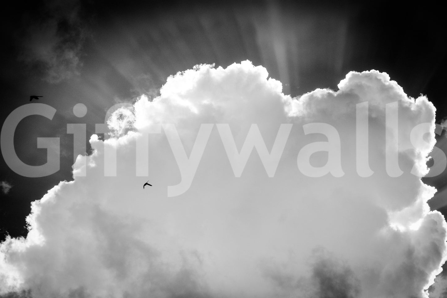 A high-quality minimalist wall mural for walls.

