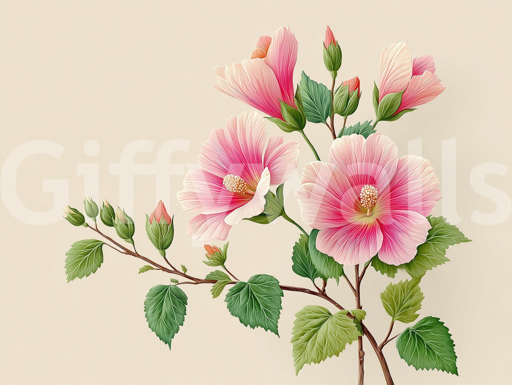 hibiscus flowers with a soft background

