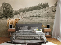 Calming landscape with Highland cow grazing for home decor

