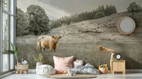 Majestic Highland cow grazing in a peaceful landscape mural

