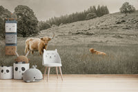 Rustic Highland cow wall mural with soft greens and browns

