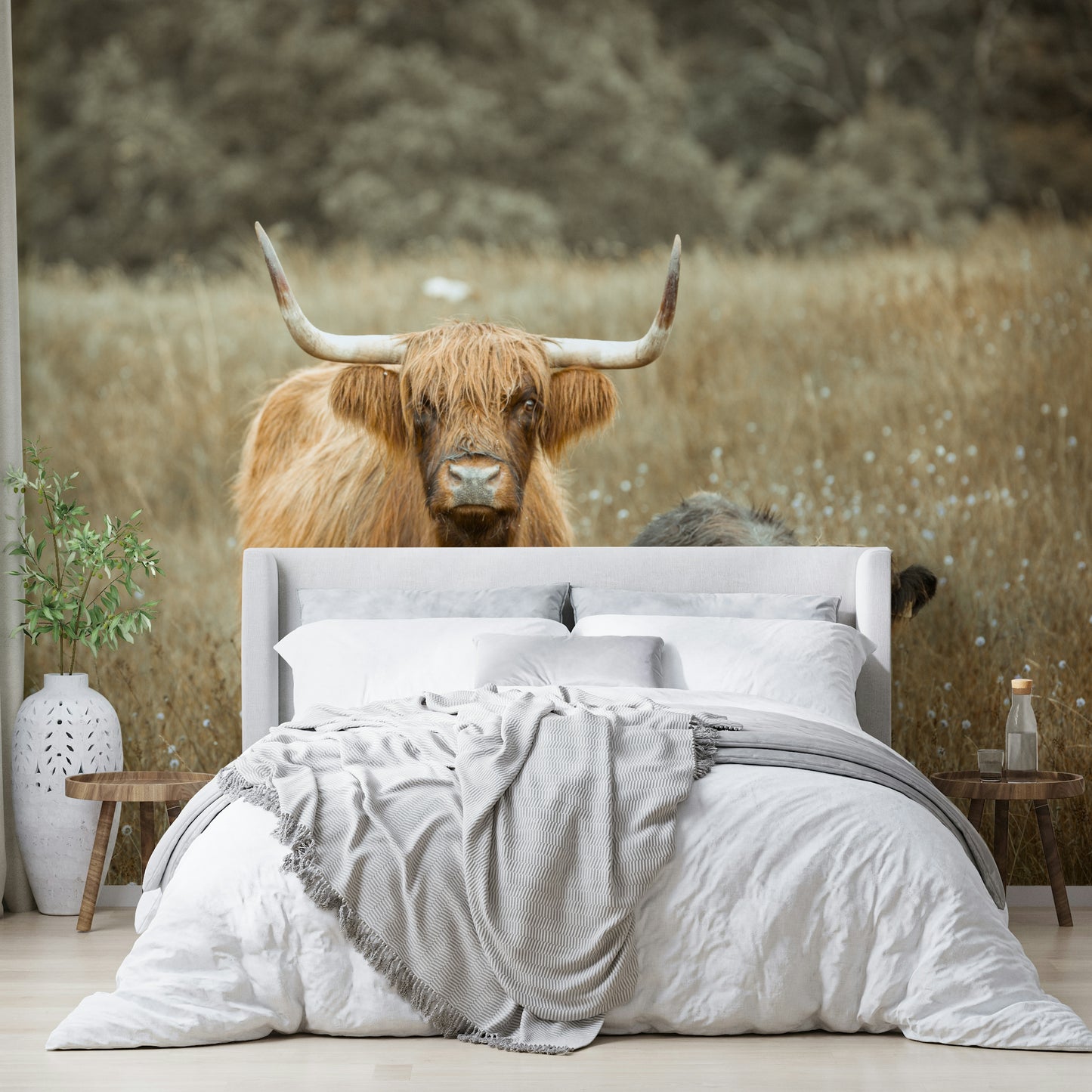 Pastoral Highland cows mural featuring nature and countryside charm.

