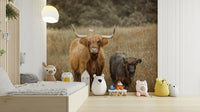 Majestic Highland cows wall mural for nature-inspired rooms.

