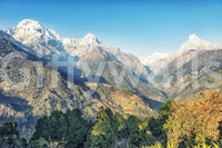 Golden valley mountain mural highlights wide wall