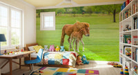 Foal’s First Steps Wall Mural in kids room, beige meadow watercolor