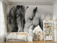 Majestic horses with graceful expressions.

