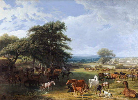 Horse Meadow Wallpaper Murals For Walls