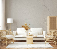 Textured wall mural with distressed white plaster creating a cozy, vintage, or farmhouse-style accent wall.