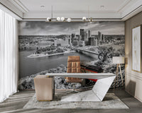 Pittsburgh skyline with Duquesne Incline wall mural

