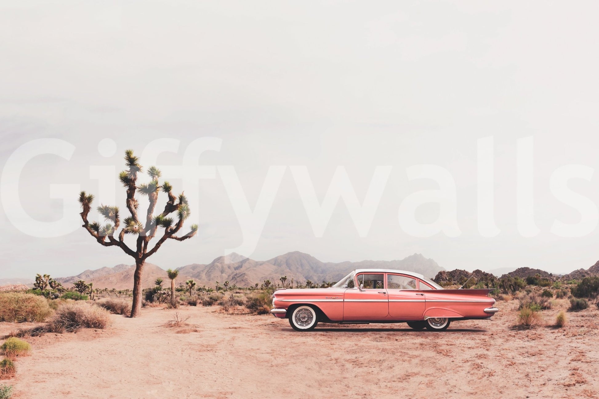 Wall decor evoking serenity and the raw beauty of nature.

