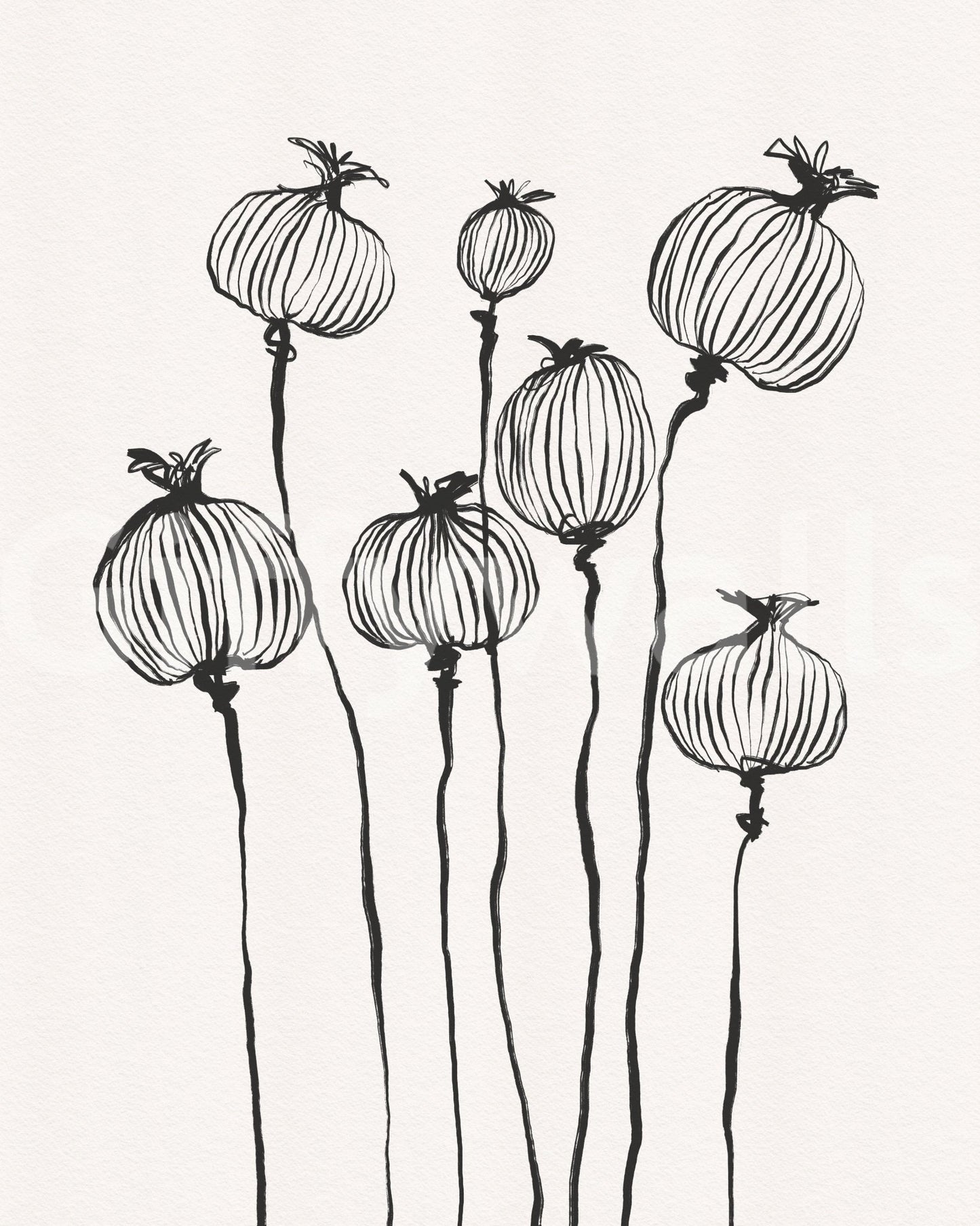 Ink Poppy Pods wallpaper mural shown as a full-wall design of black sketched poppy seed pods on cream