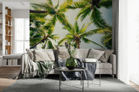 Palm tree photo, light and shadow play, Island Breeze room aesthetic wallpaper mural.