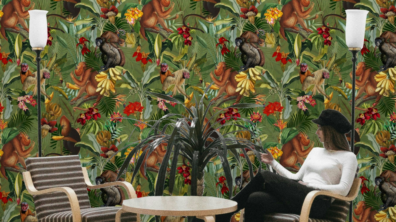 Jungle Rendezvous Wallpaper with lush tropical foliage.

