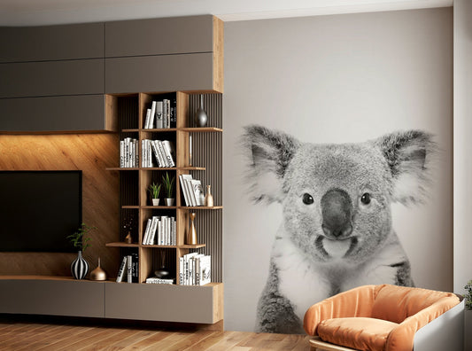 High-resolution image of a koala.


