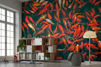 High-resolution image of a koi pond.

