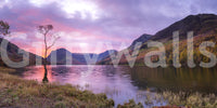 A high-quality peaceful lake wall mural for walls.

