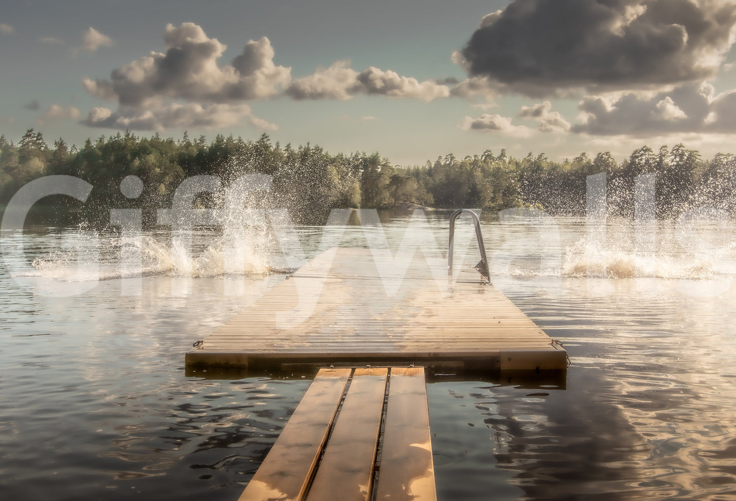 Lake Jump! Wall Mural -2221045