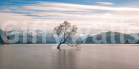 Lake Wanaka Tree Serenity Majestic peak backdrop, famous solitary plant, tranquil setting.