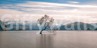 Lake Wanaka Tree Serenity Majestic peak backdrop, famous solitary plant, tranquil setting.