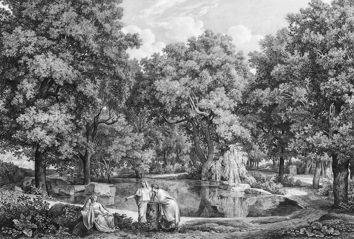 Black and White Lakeside Talk Wallpaper Mural in your room