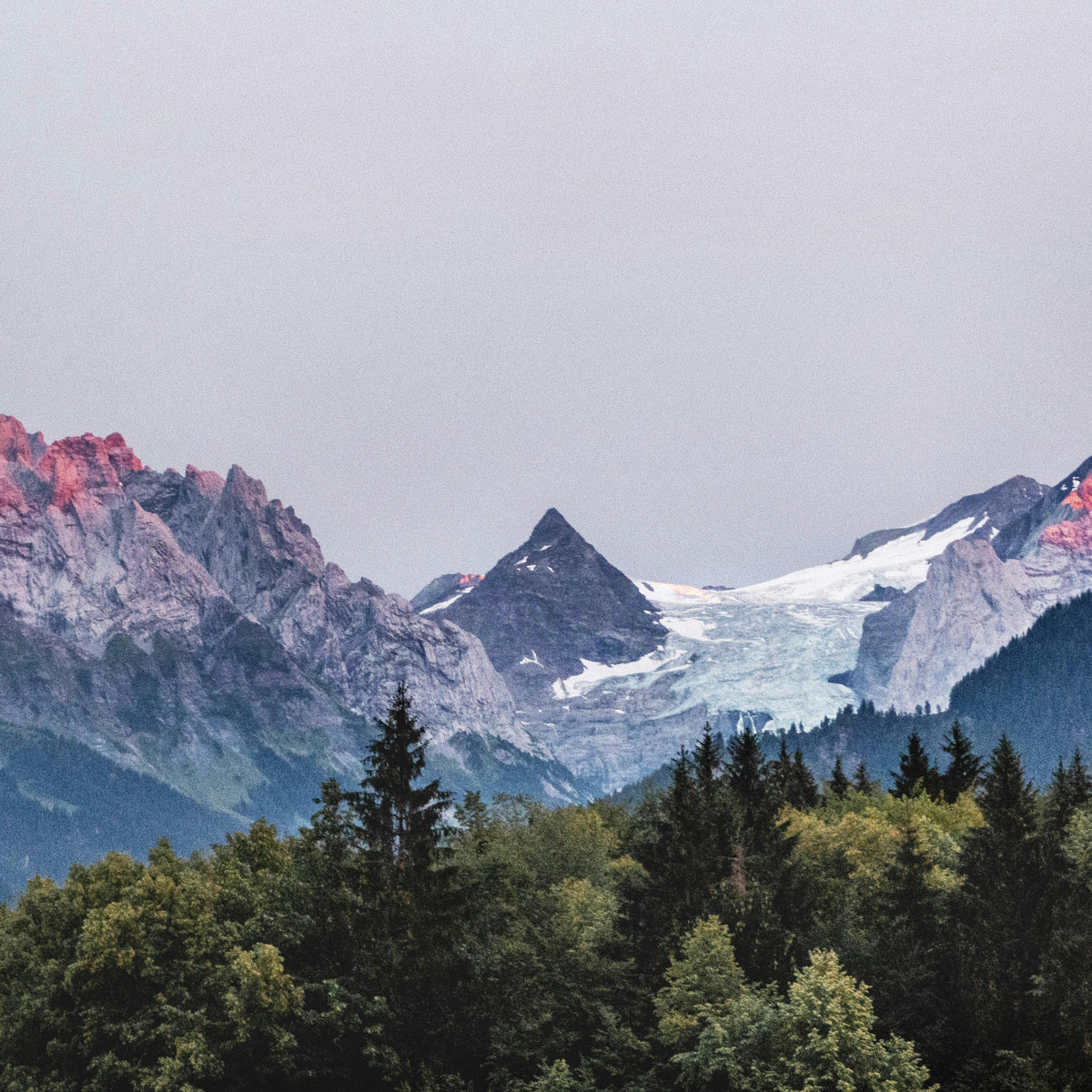 Sunset Mountain Vista Wall Mural in your room — zoomed