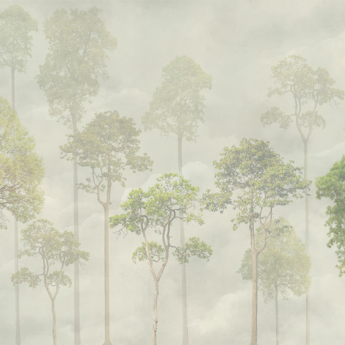 Misty Forest Green Wallpaper in your room — zoomed