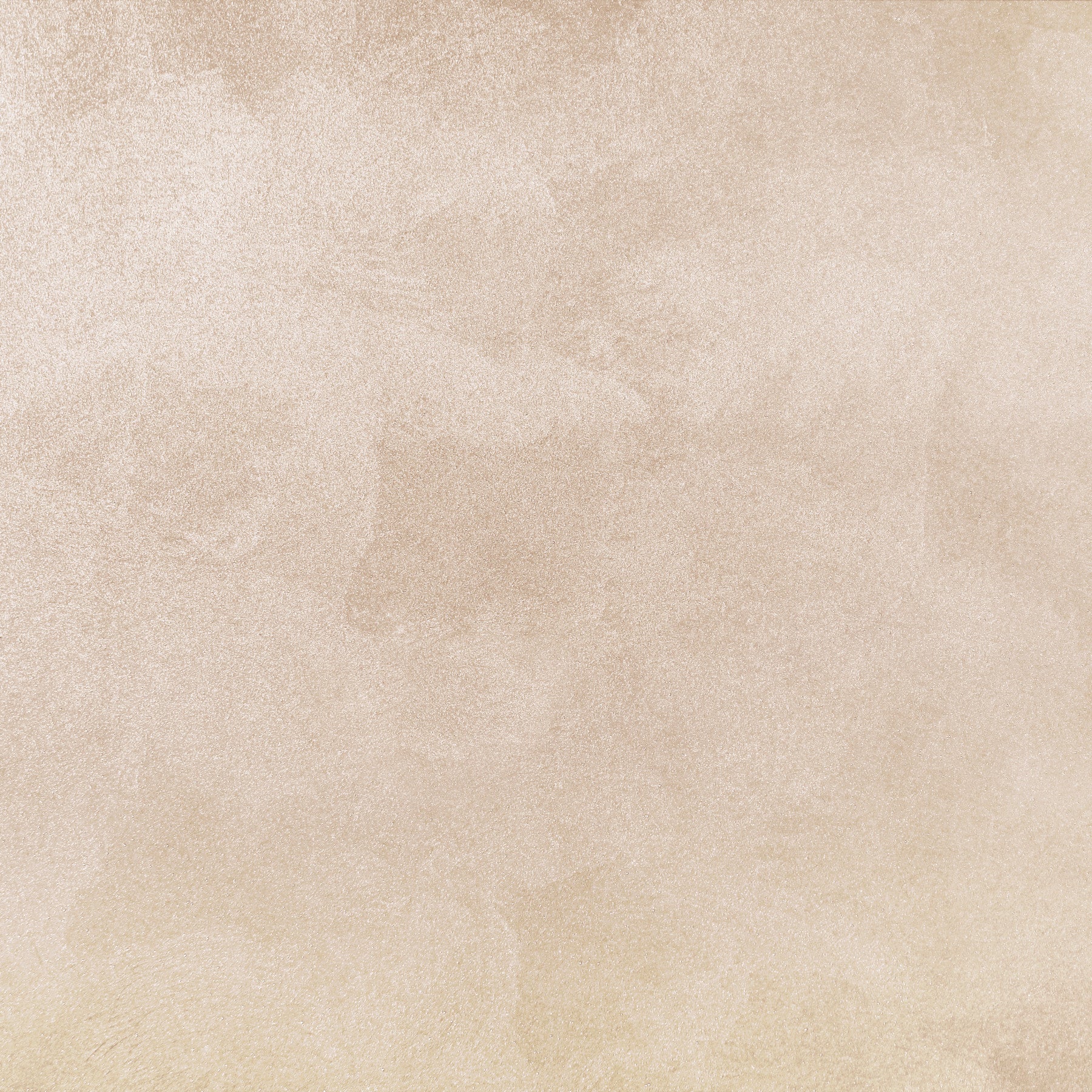 Modern Minimalist Beige Wall mural